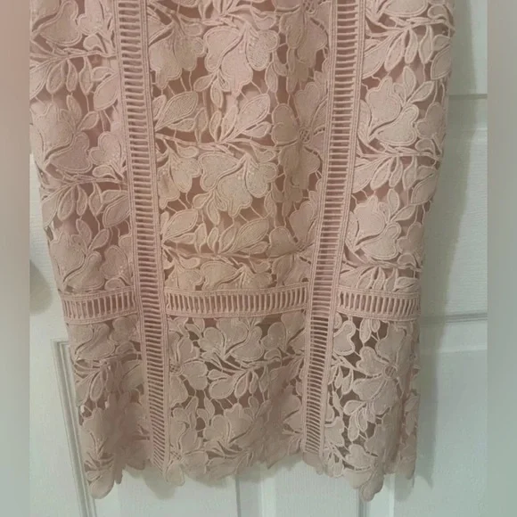 NWT BARDOT BOTANICA LACE DRESS IN SOFT LIGHT PINK - Picture 5 of 9